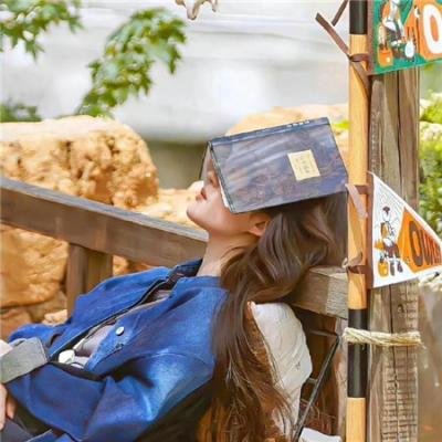 精灵宝可梦：皮卡丘的暑假